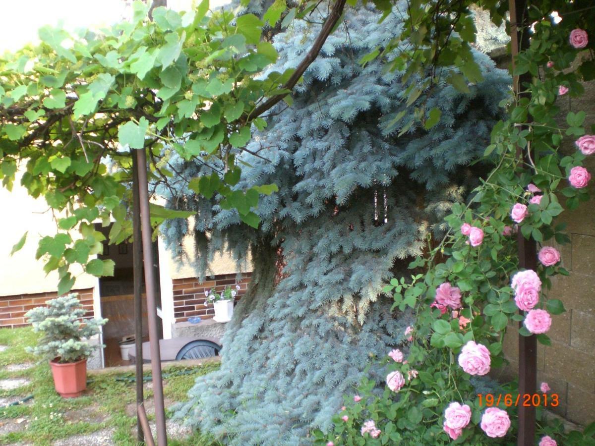 Kalik Guest house